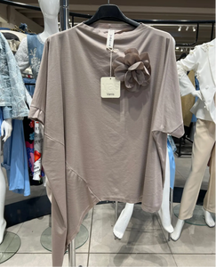 Asymetrical Top