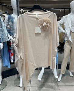 Asymetrical Top