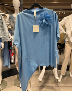 Asymetrical Top